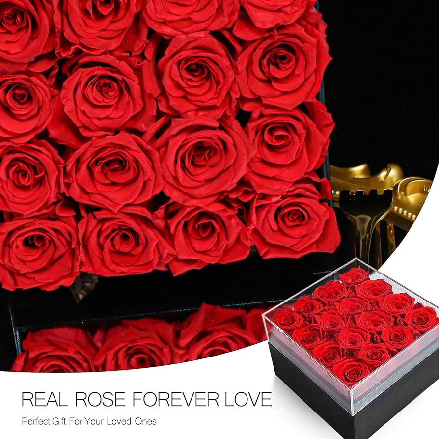 完売‼️ ALL ROSES LIVING PROOF Dash  完売‼️ ALL ROSES LIVING PROOF Dash Amazon.com: Forever Rose